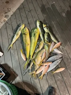 Fishing in Key West, Florida