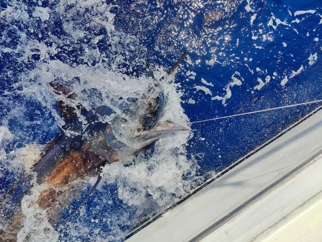 Fishing in Kailua-Kona, Hawaii