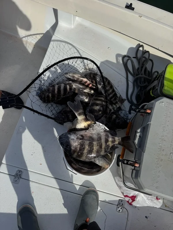 Fishing in Bradenton, Florida