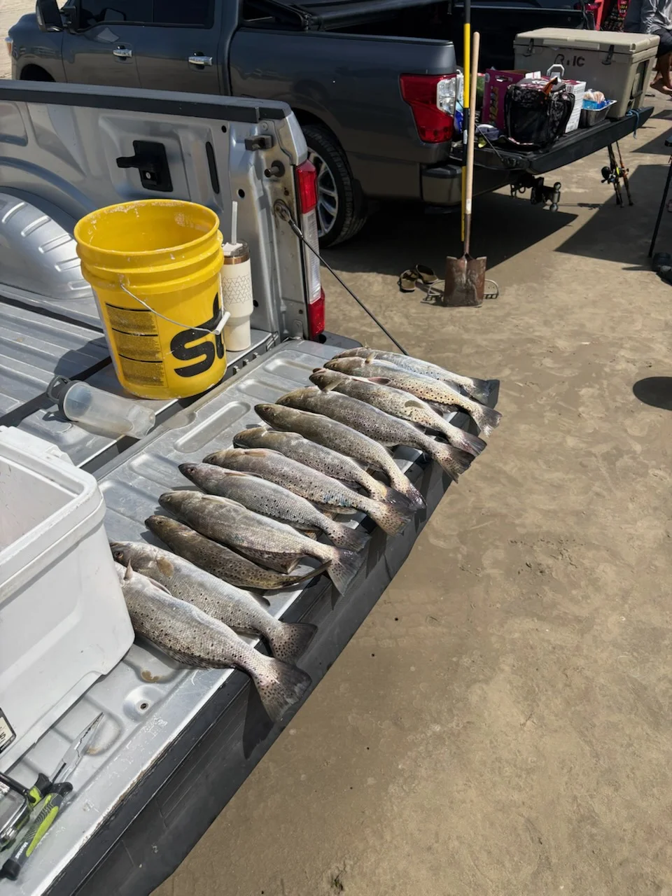 Fishing in Texas City, Texas