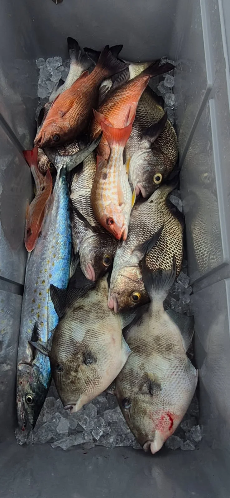 Fishing in Vero Beach, Florida