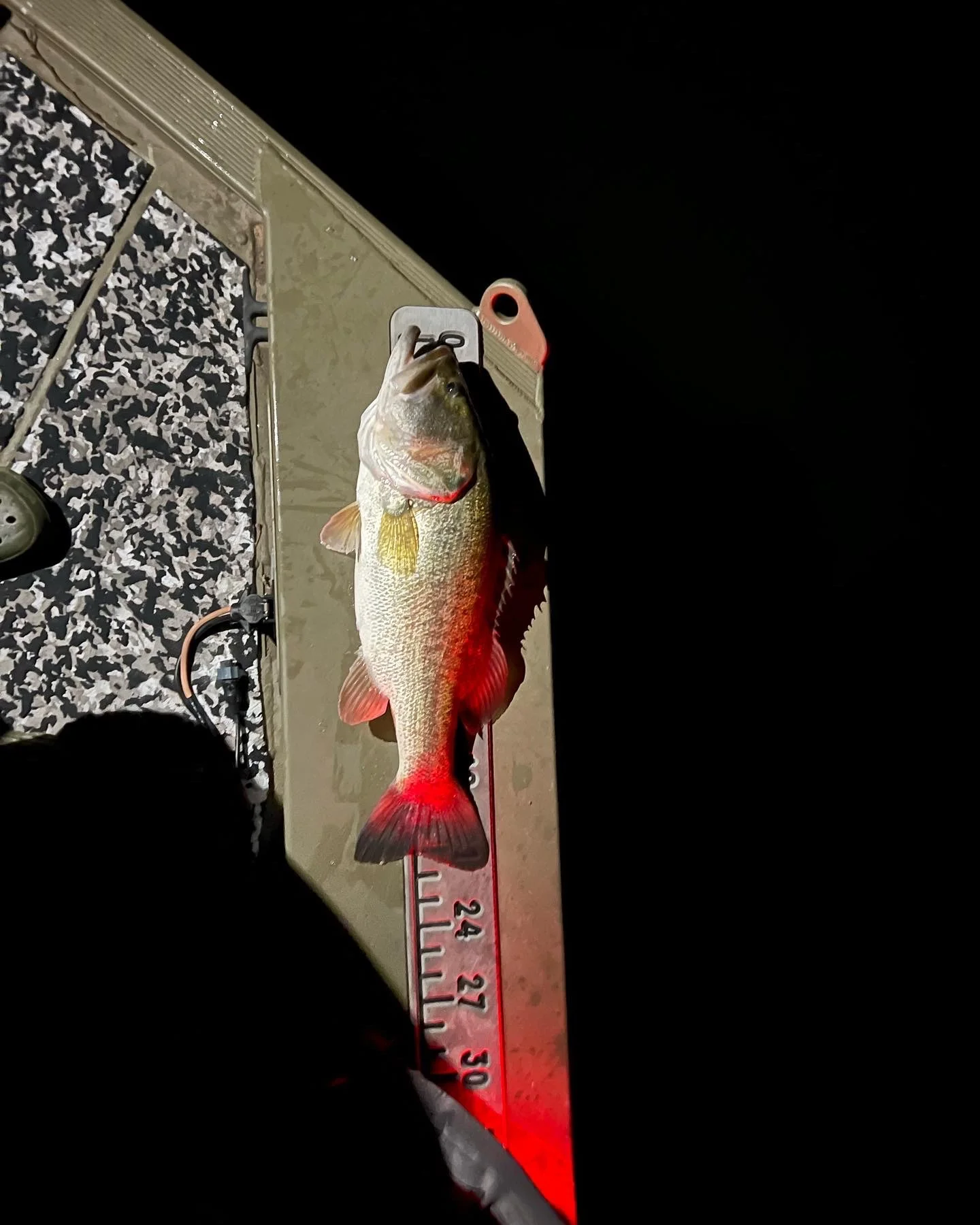 Largemouth Bass Fishing in Graford, Texas