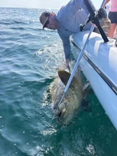 Fishing in Port Orange, Florida