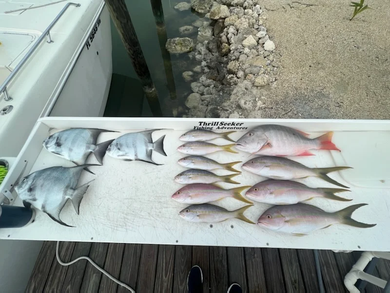 Yellowtail Snapper Fishing in Marathon, Florida
