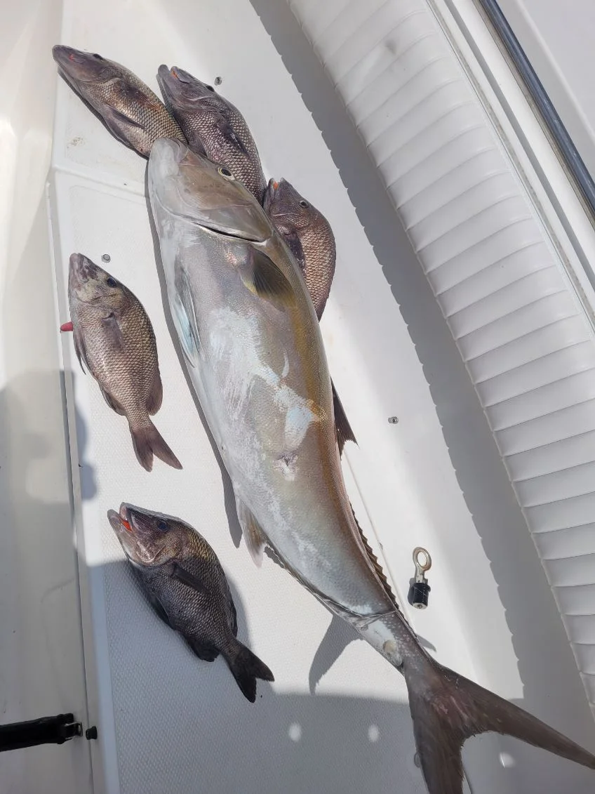 Fishing in Wrightsville Beach, North Carolina