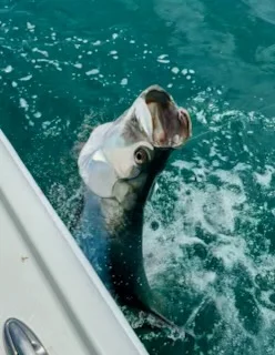Fishing in Key West, Florida