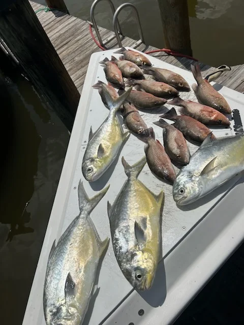 Fishing in Marco Island, Florida
