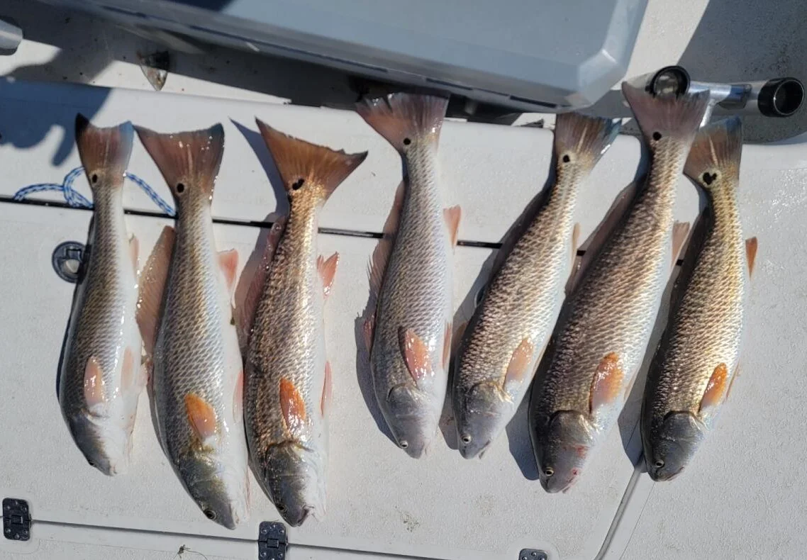 Redfish Fishing in Port Aransas, Texas