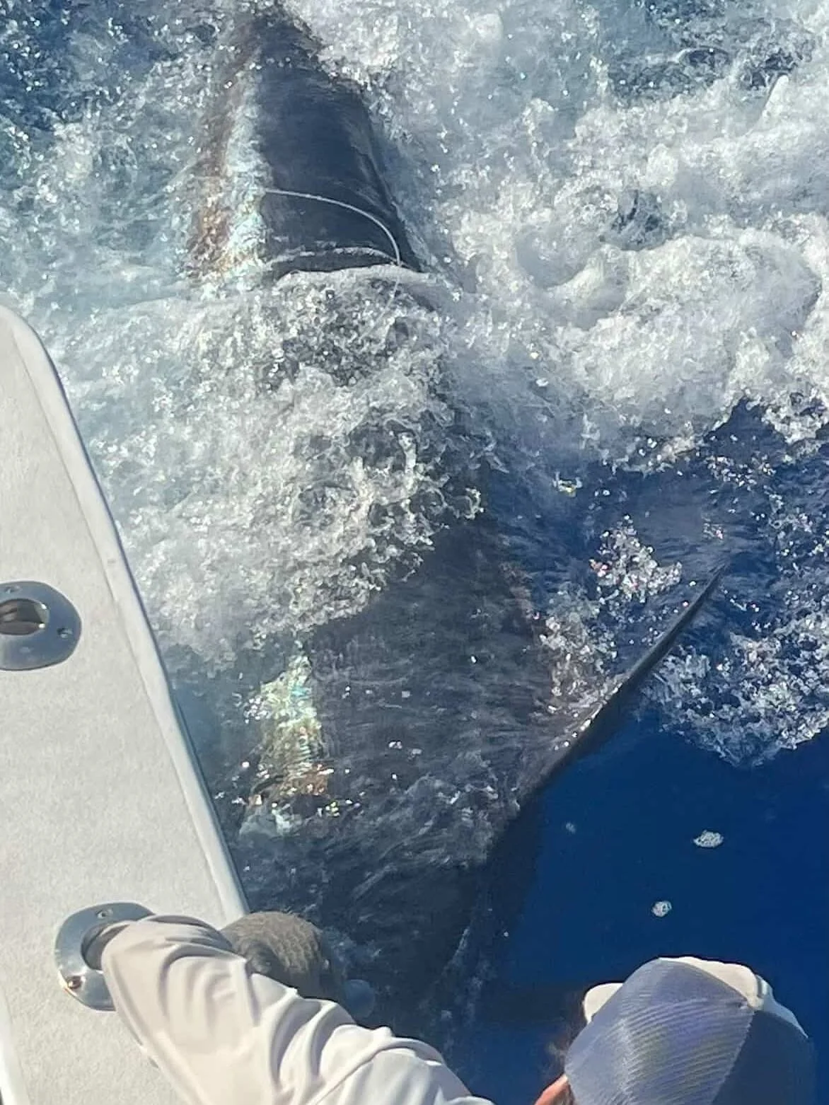 Fishing in Kailua-Kona, Hawaii