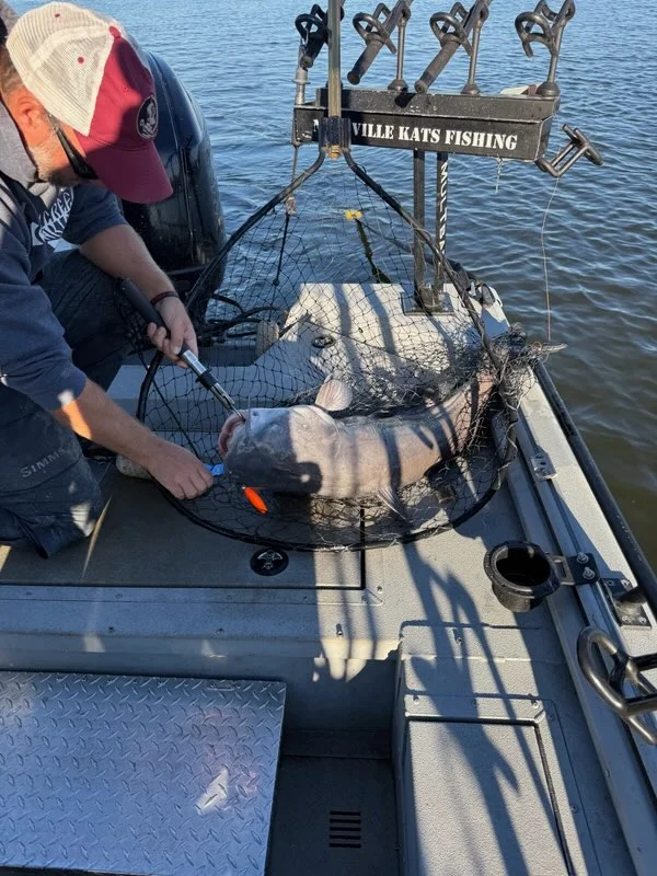 Fishing in Hendersonville, Tennessee
