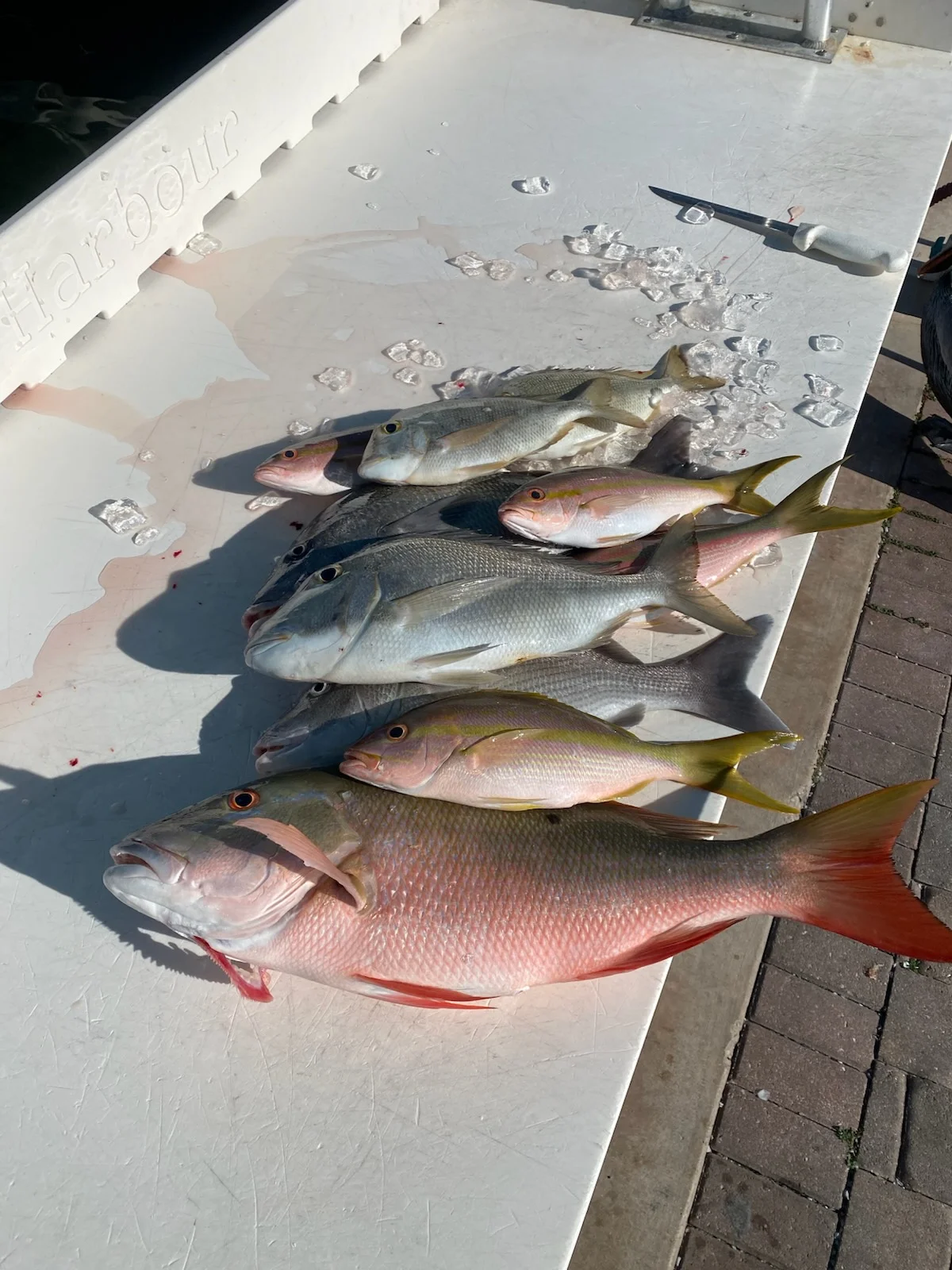 Fishing in Key West, Florida