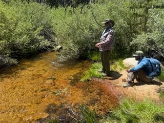 Fishing in Bishop, California