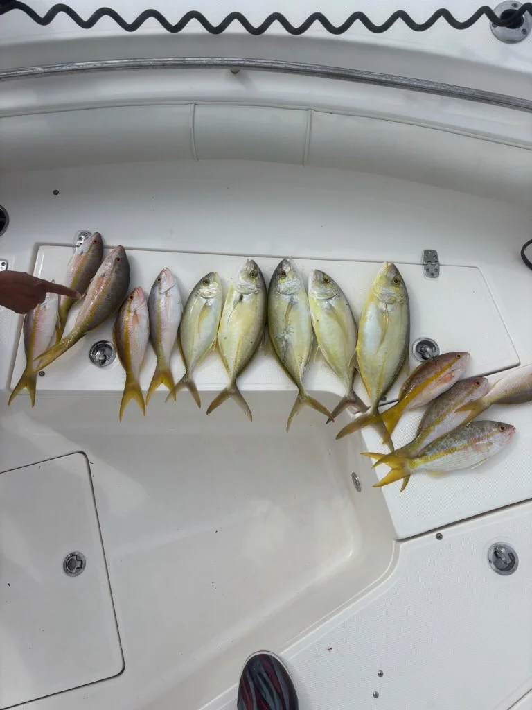 Fishing in Key Largo, Florida