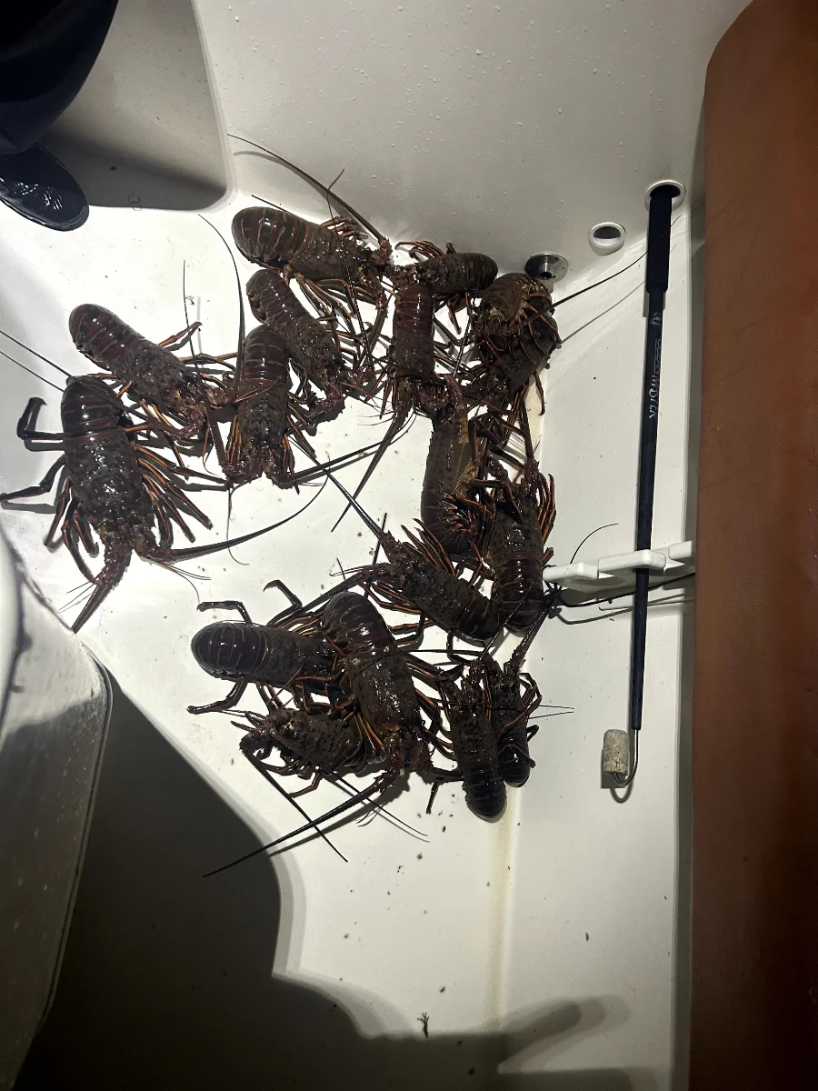 Fishing in Long Beach, California