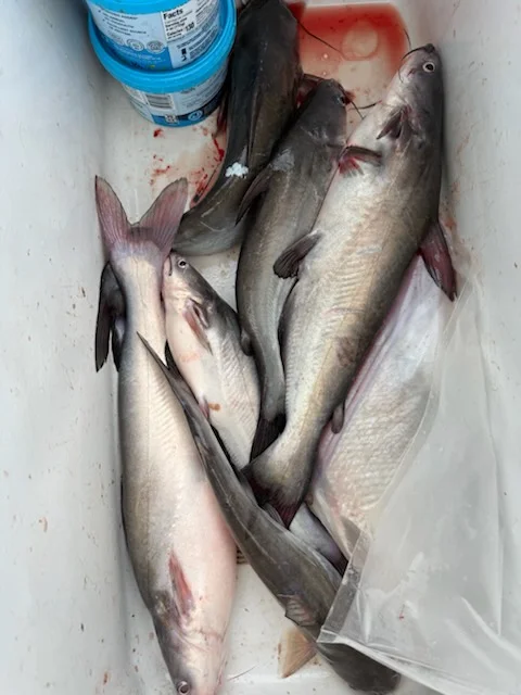 Fishing in Nanticoke, Maryland