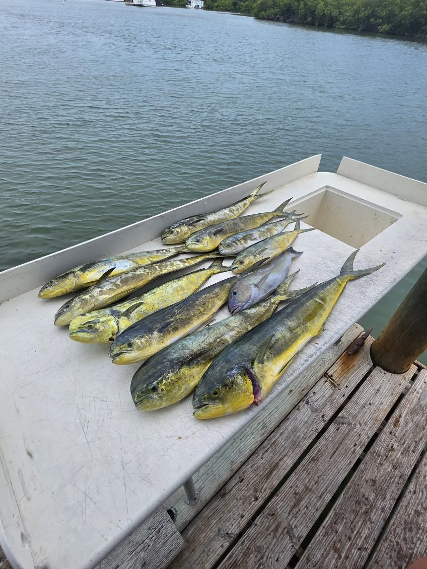 Fishing in Marathon, Florida