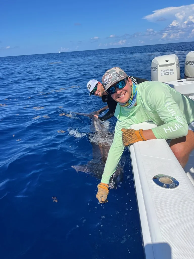 Blue Marlin Fishing in Miami, Florida