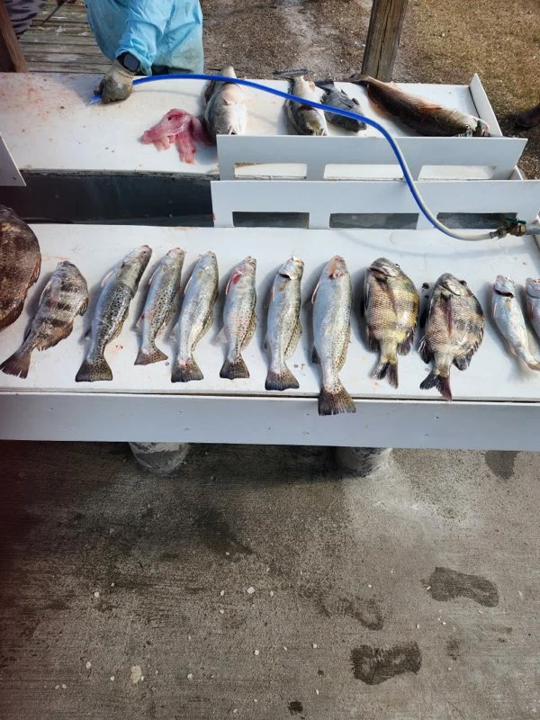 Fishing in Port Aransas, Texas