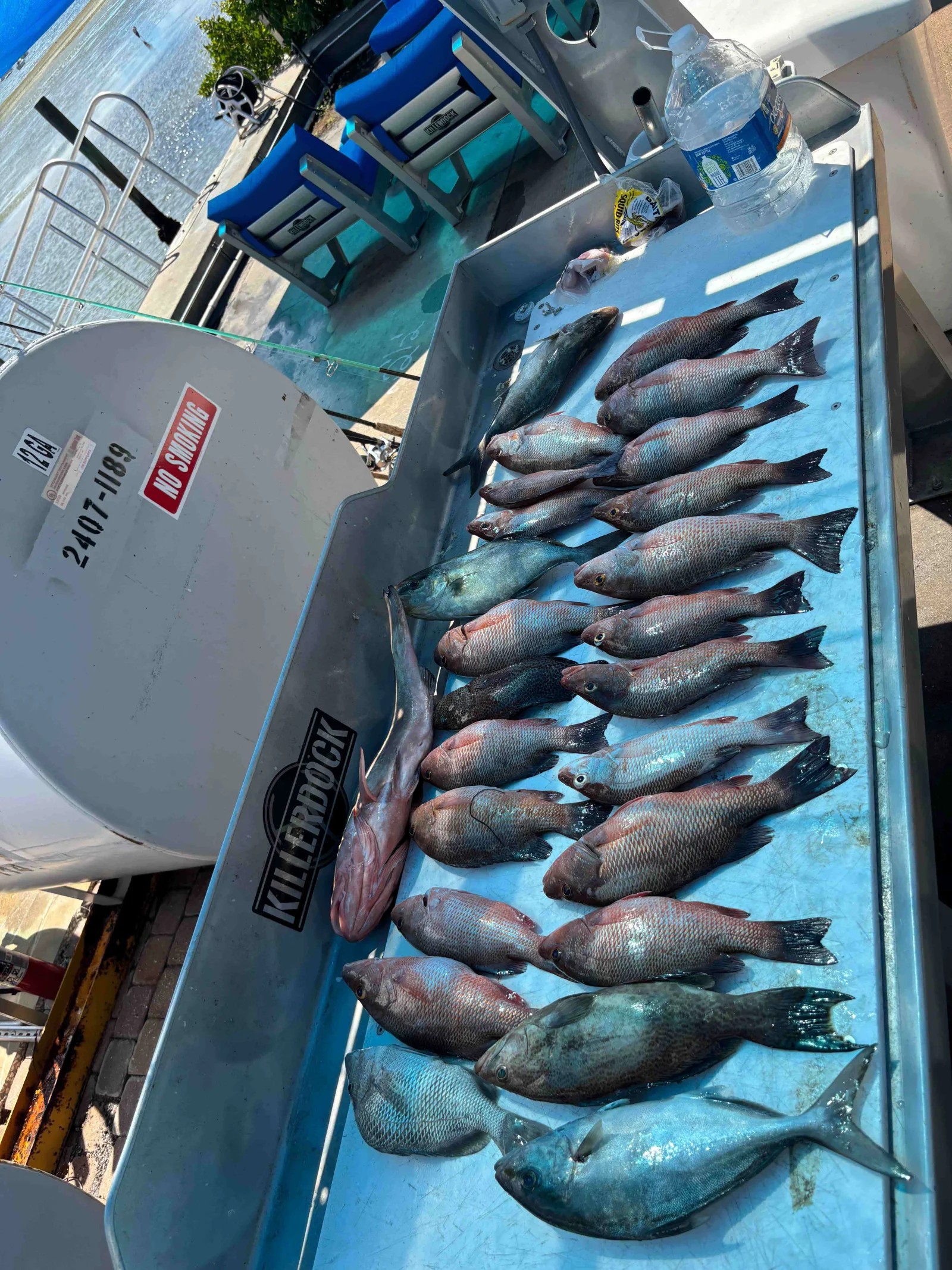 Fishing in St. Petersburg, Florida