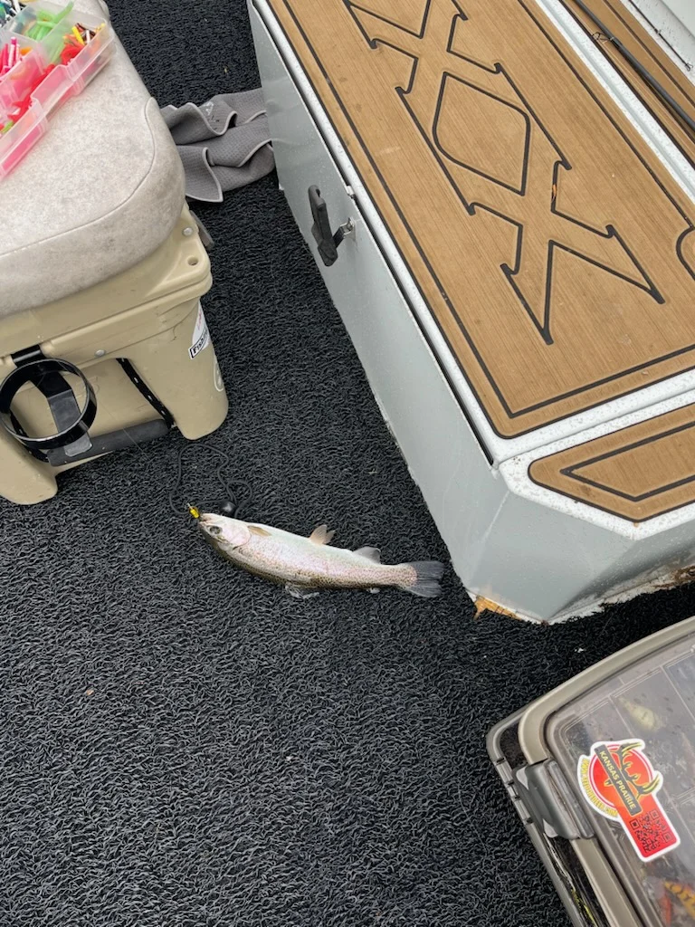 Fishing in Heber Springs, Arkansas