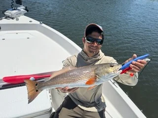 Fishing in St. Petersburg, Florida