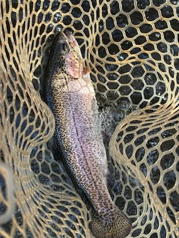Fishing in Broken Bow, Oklahoma