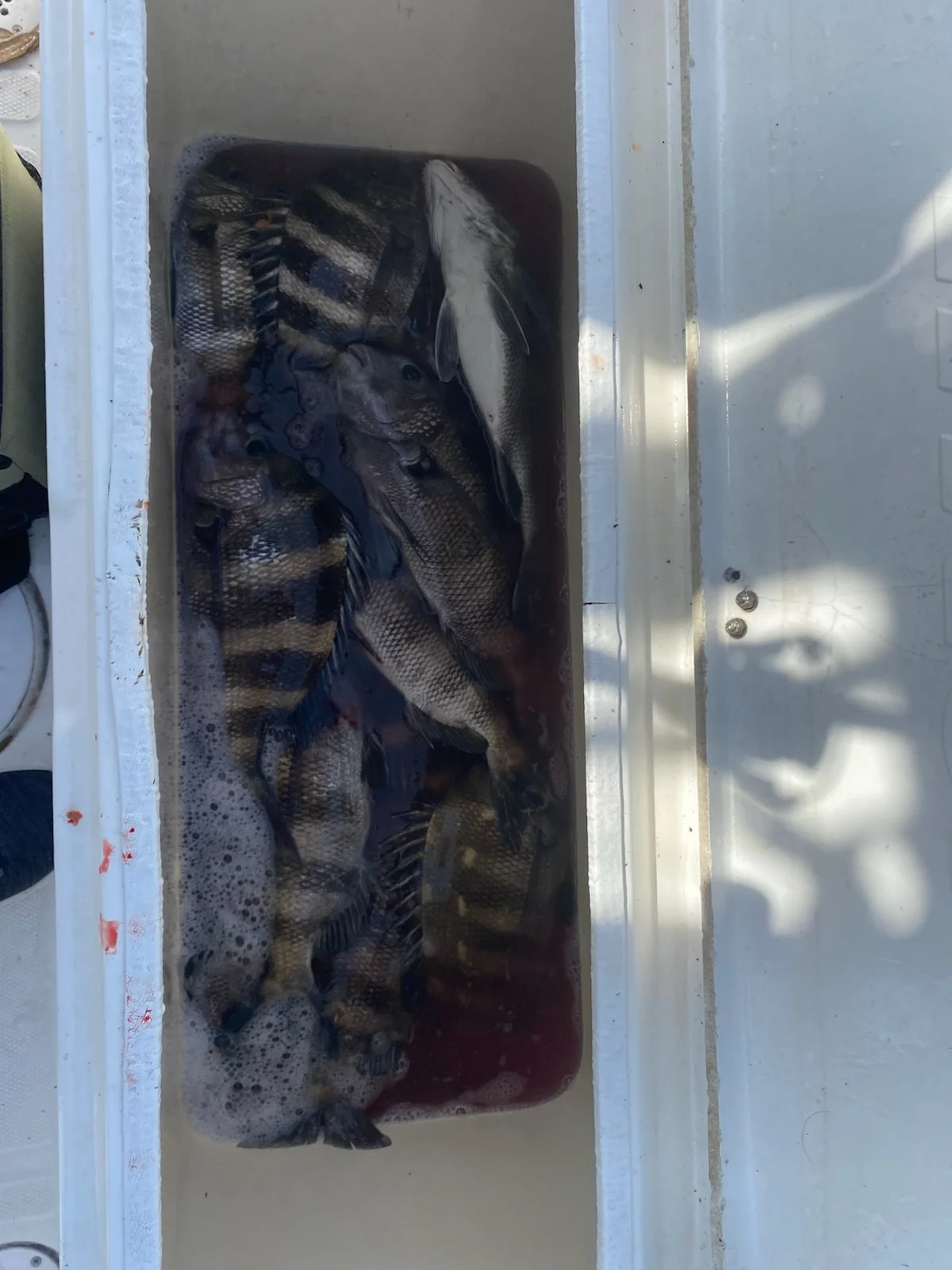 Fishing in Gulf Breeze, Florida
