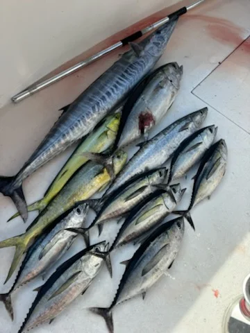 Fishing in Pompano Beach, Florida