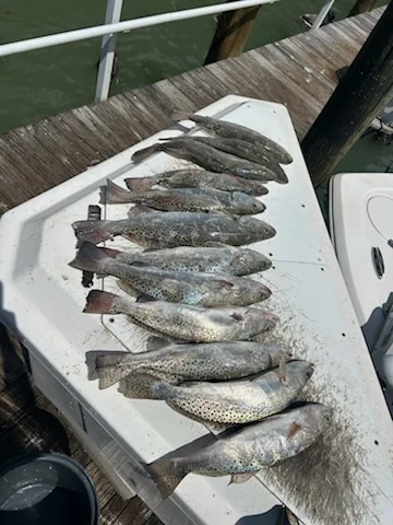 Fishing in Marco Island, Florida