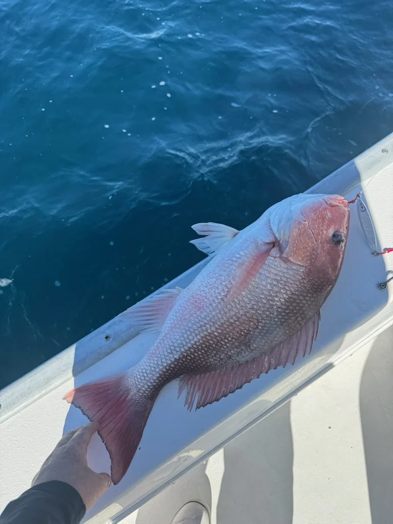 Fishing in Santa Rosa Beach, Florida