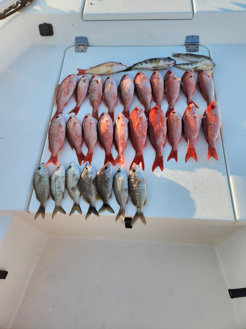 Fishing in Pensacola, Florida