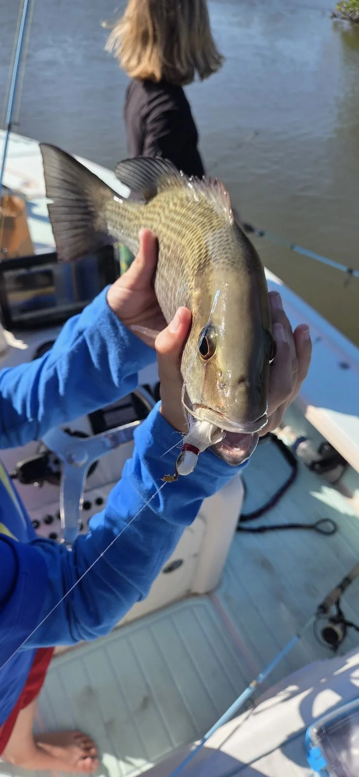Fishing in Naples, Florida