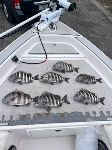 Fishing in Jacksonville, Florida