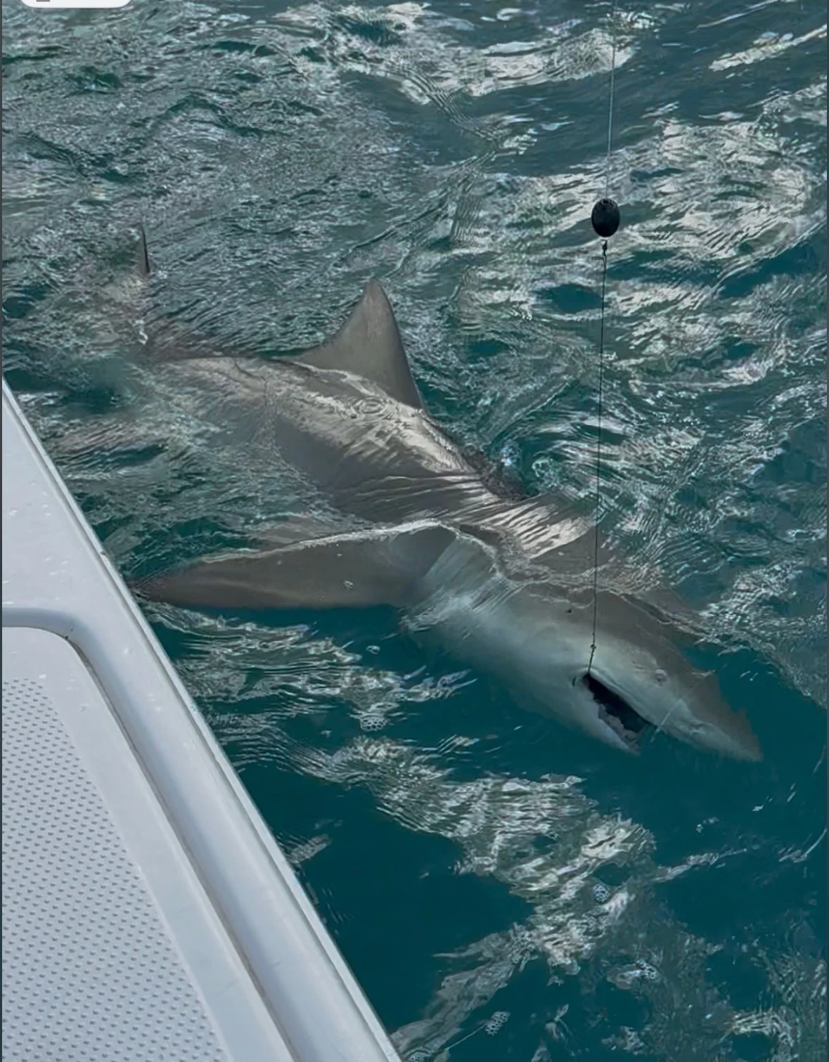 Fishing in Key West, Florida