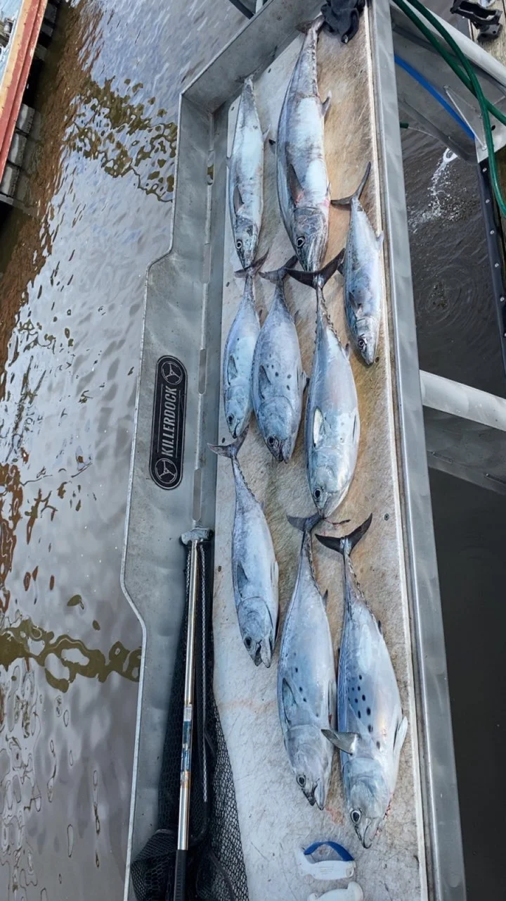 Fishing in Myrtle Beach, South Carolina