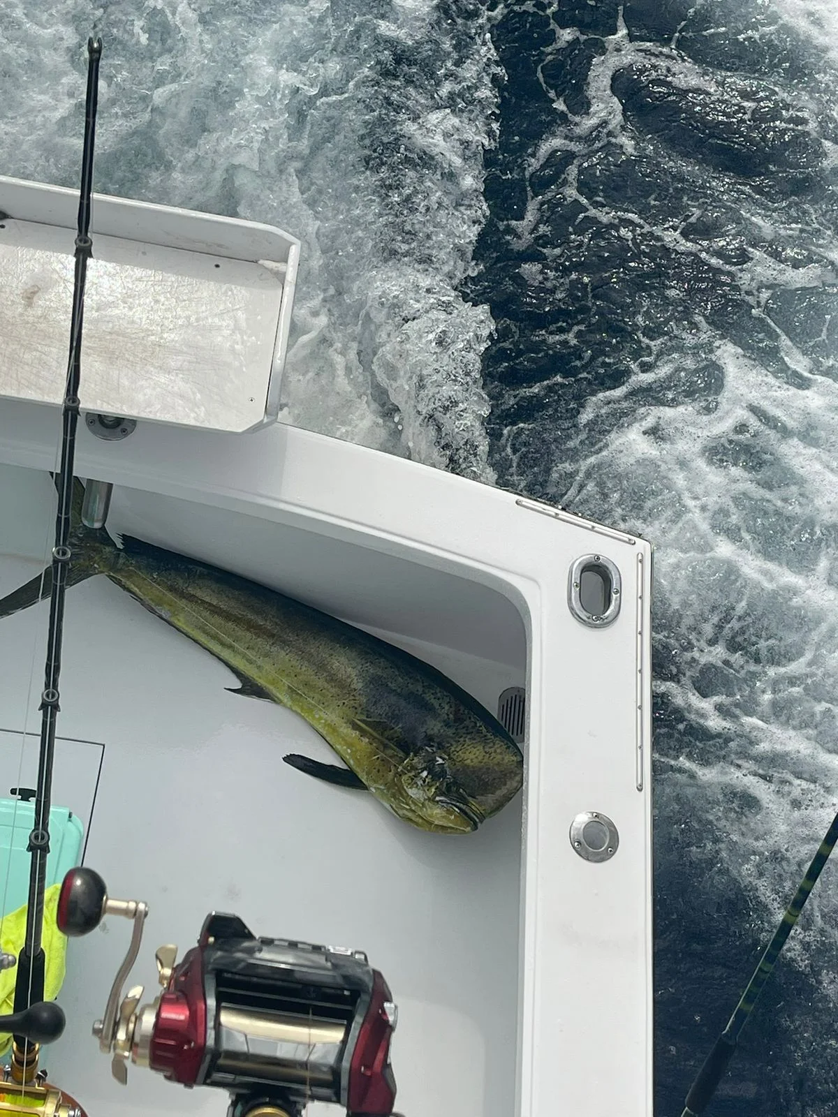 Fishing in Quepos, Costa Rica