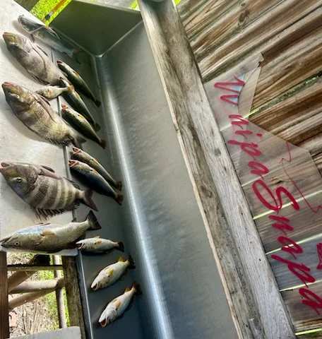 Fishing in D'Iberville, Mississippi