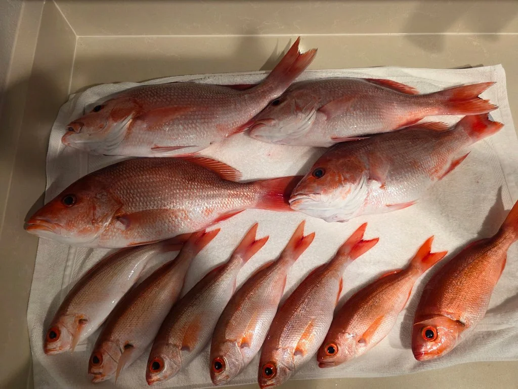 Fishing in Panama City, Florida
