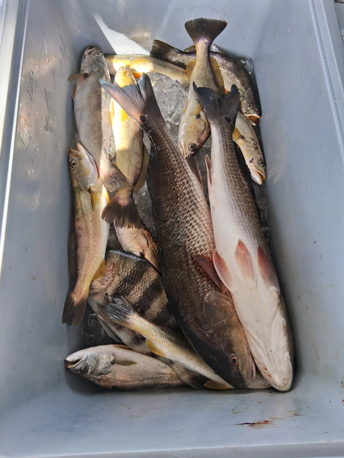 Fishing in Port Orange, Florida