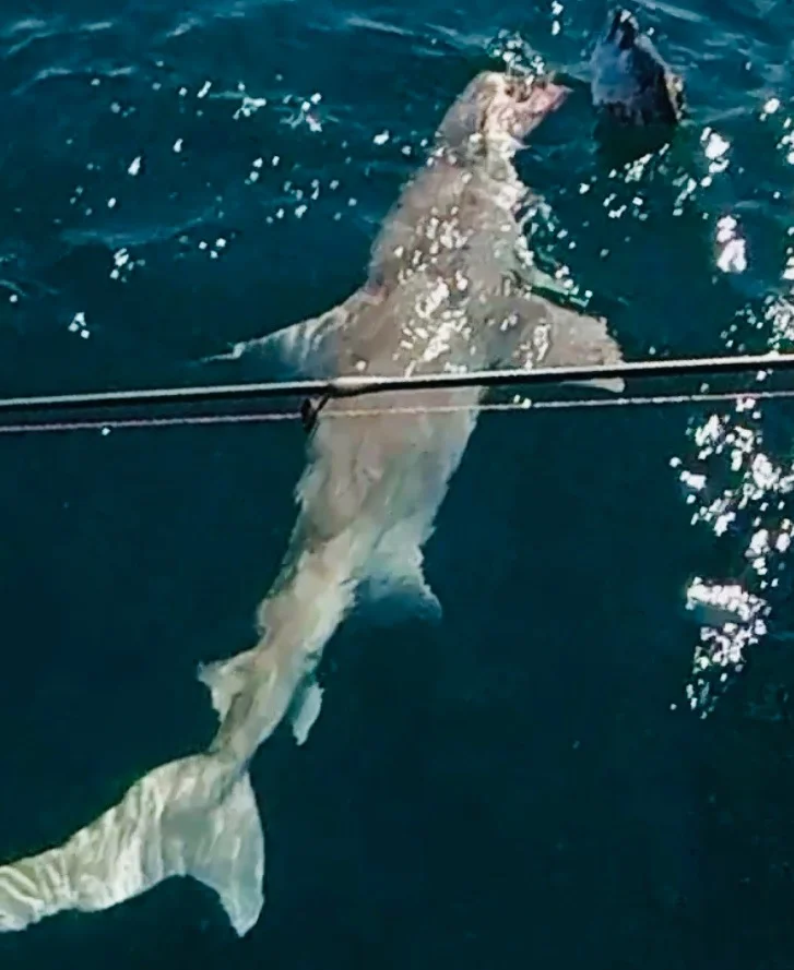 Fishing in Miami Beach, Florida