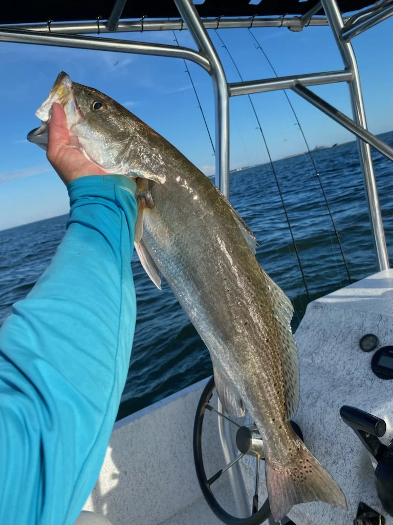 Fishing in Gulf Shores, Alabama