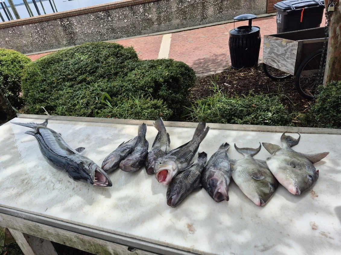Fishing in St. Marys, Georgia