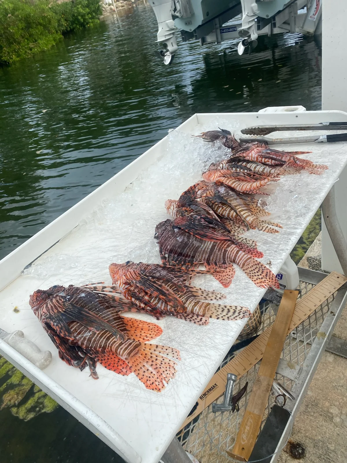 Fishing in Key West, Florida