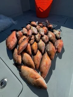 Fishing in Naples, Florida