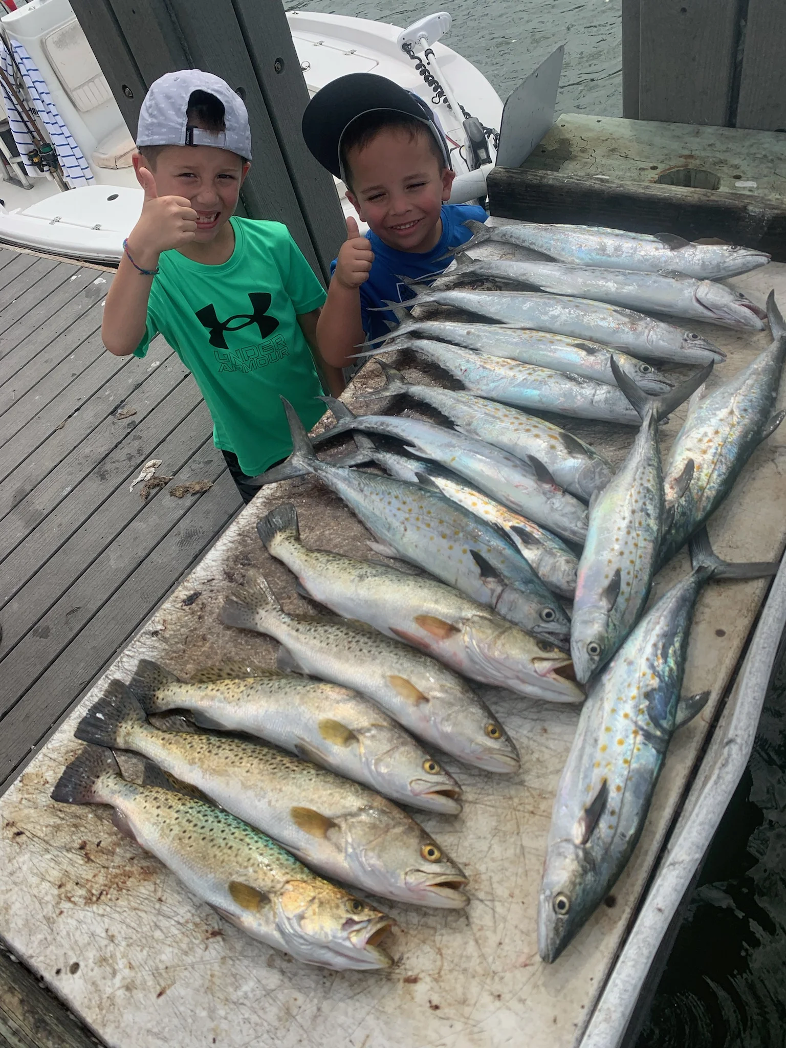 Cobia Fishing in Sarasota, Florida