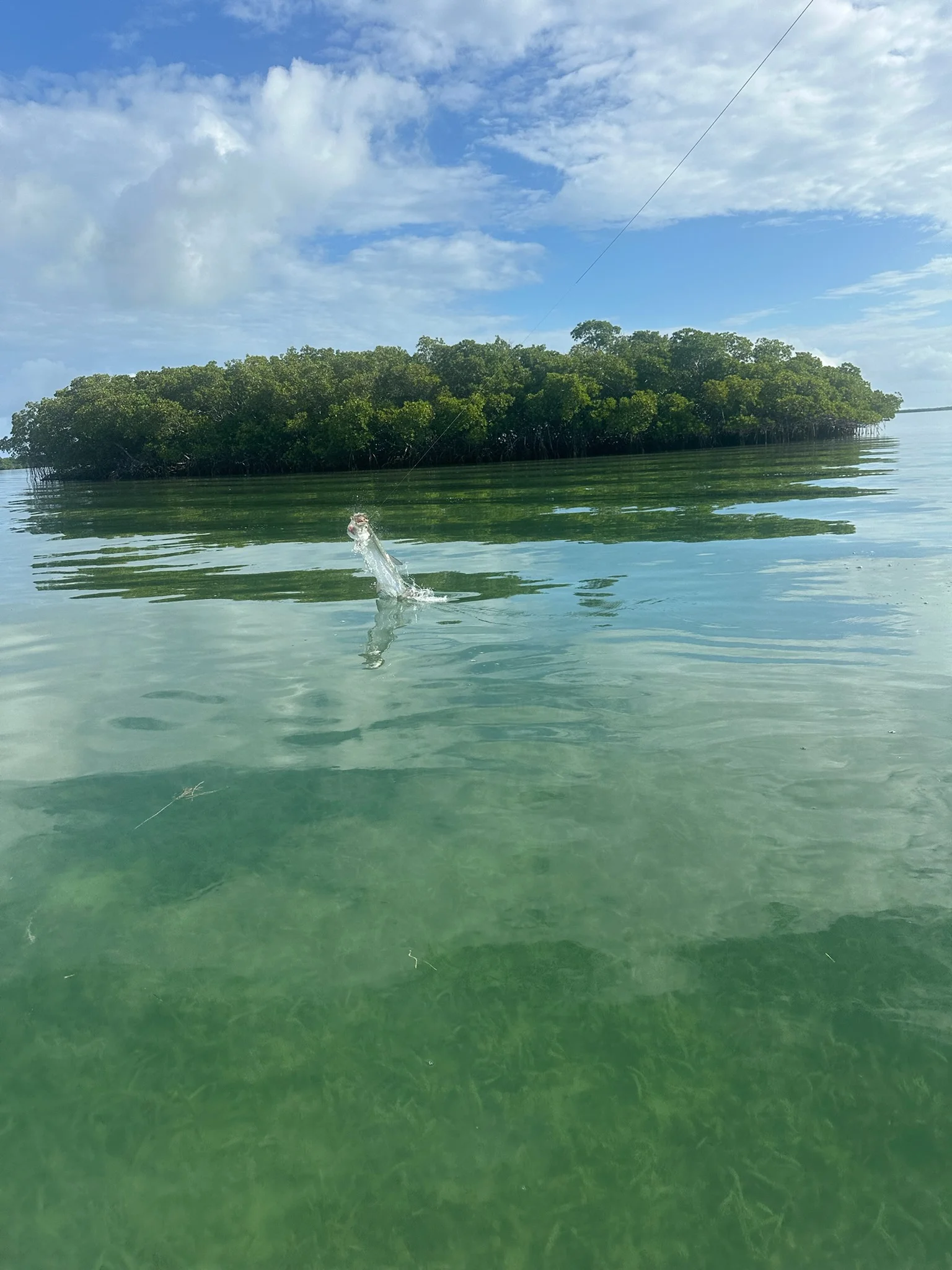 Fishing in Cudjoe Key, Florida
