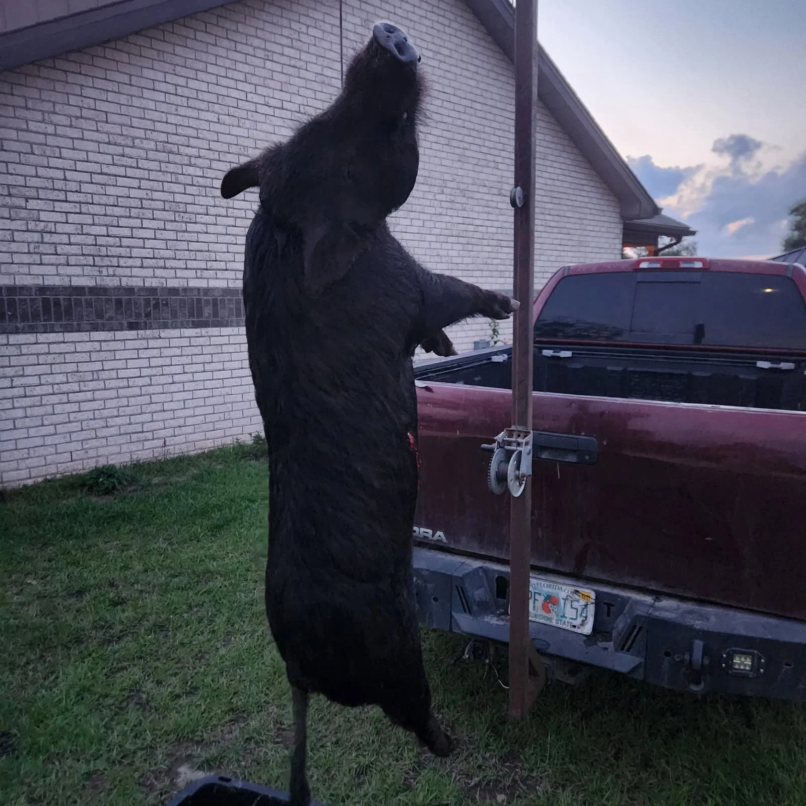 Hunting in Crestview, Florida