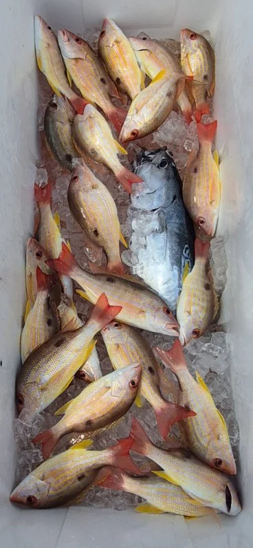 Fishing in Vero Beach, Florida