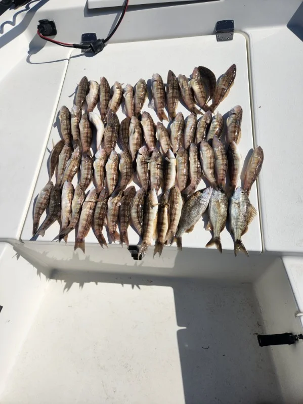 Fishing in Pensacola, Florida