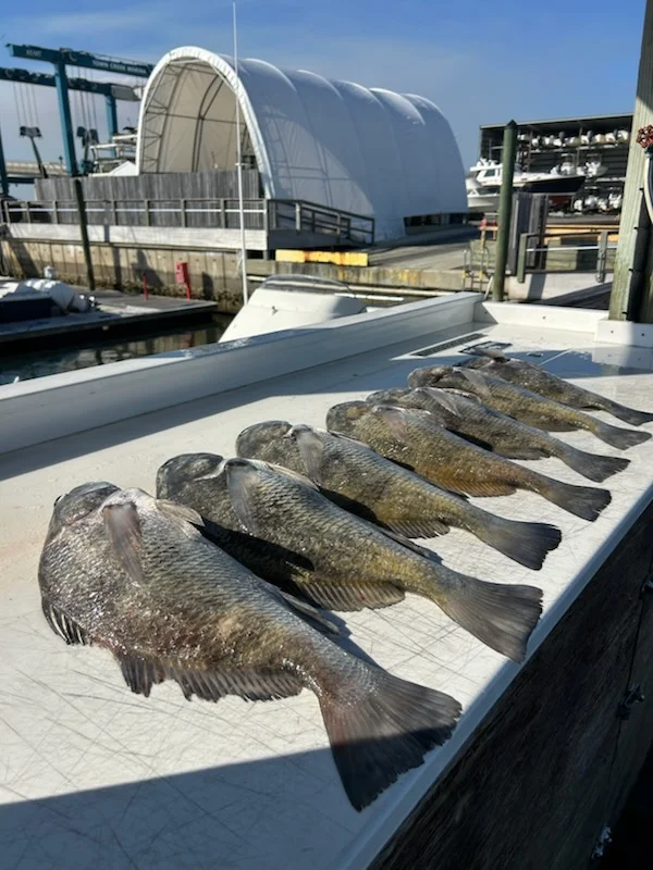 Fishing in Beaufort, North Carolina